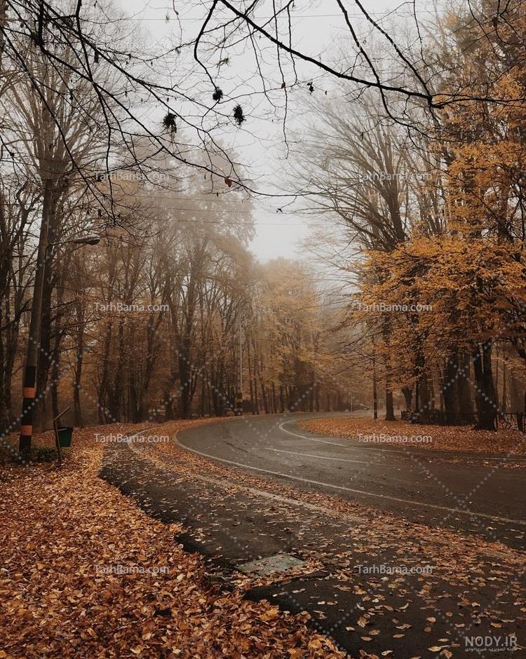 عکس پاییزی طبیعی