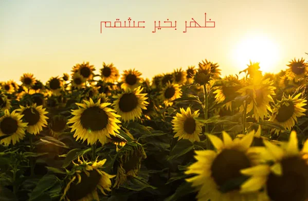 عکس پروفایل ظهر بخیر - عکس نودی عکس پروفایل ظهر بخیر - عکس نودی