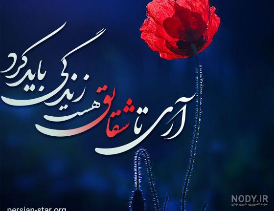 قدم‌های من ناتوان در - شعر شقایق بر گیسوان تو احمدرضا احمدی