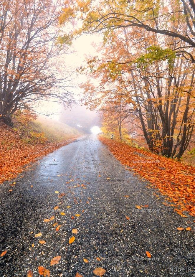  عکس پاییزی باران