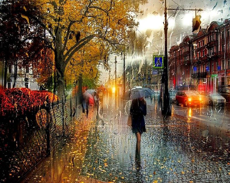  عکس پاییزی باران