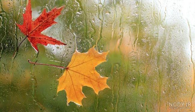  عکس پاییزی باران