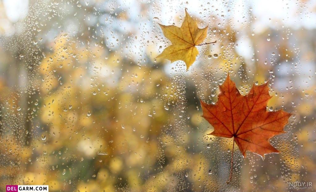  عکس پاییزی باران