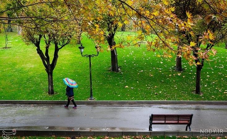  عکس پاییزی باران