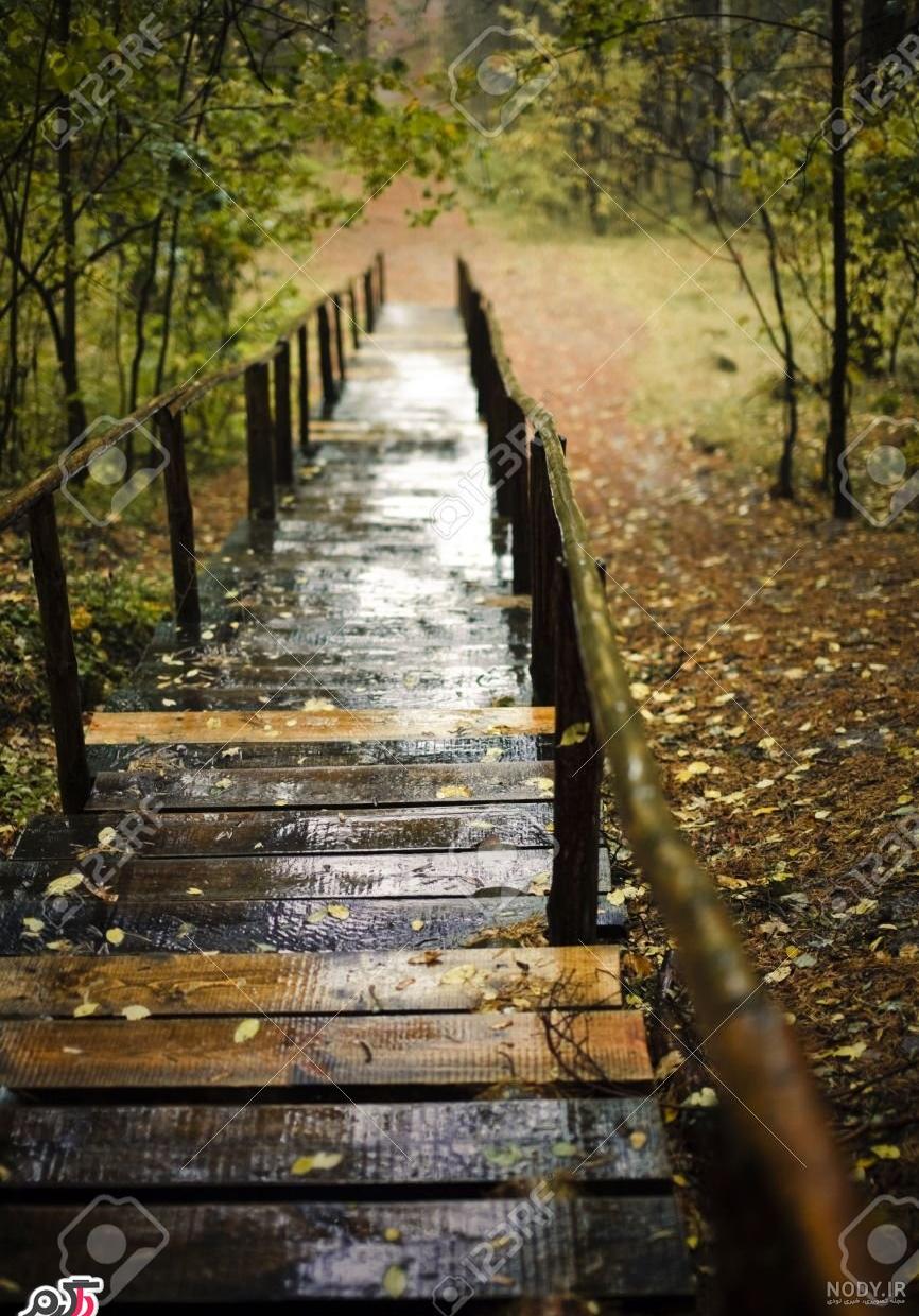  عکس پاییزی باران