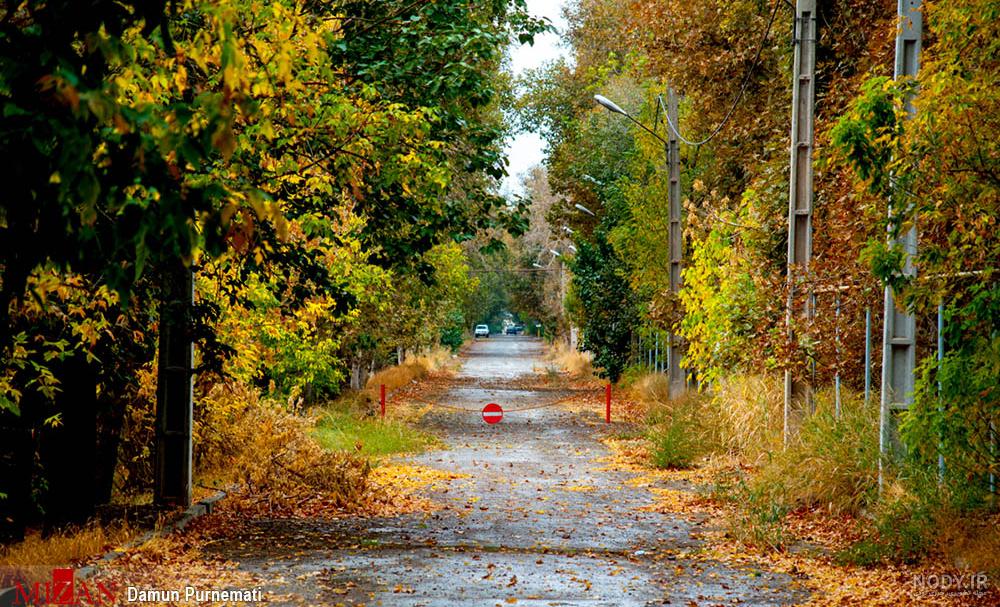  عکس پاییزی باران