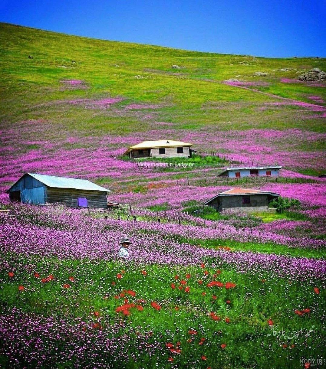 آخرین خبر | طبیعت زیبای بهاری جاده اسالم به خلخال آخرین خبر | طبیعت زیبای بهاری جاده اسالم به خلخال