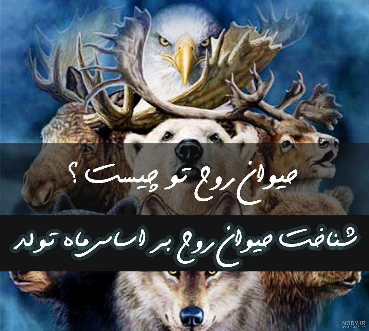 با حیوان درون متولدین هر ماه آشنا شوید! + تصاویر با حیوان درون متولدین هر ماه آشنا شوید! + تصاویر
