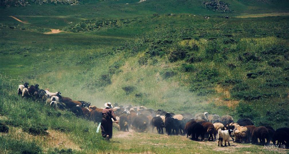 تیوال نمایش چوپان و چوب جادویی تیوال نمایش چوپان و چوب جادویی