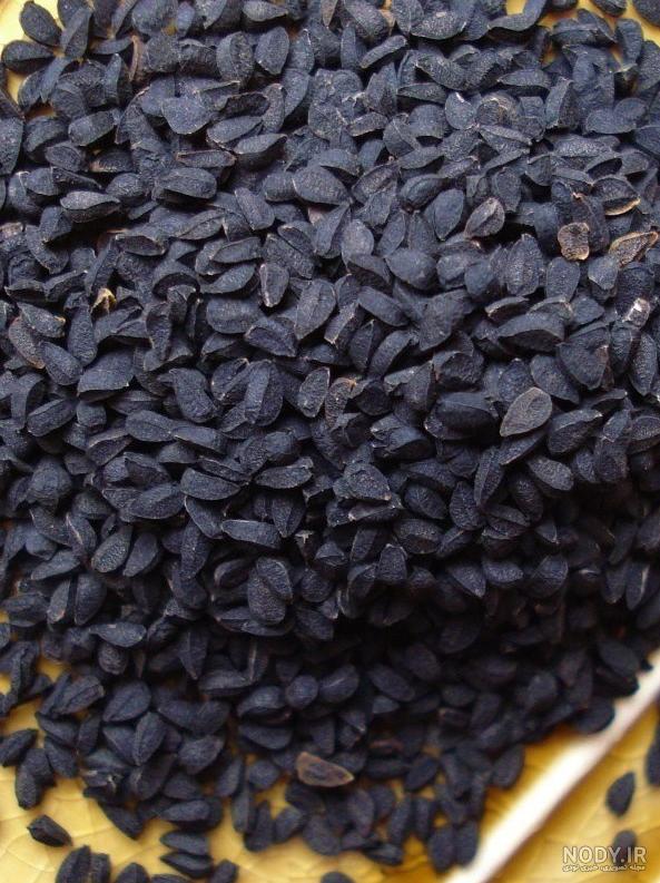 خواص سیاه دانه چیست؟ 10 خواص سیاه دانه