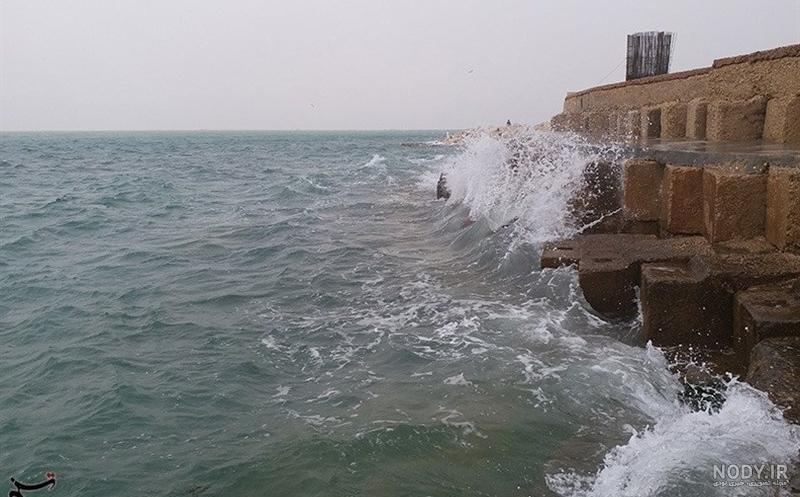 زیباترین جنگل های شمال ایران | 21 جنگل + عکس و آدرس - کجارو زیباترین جنگل های شمال ایران | 21 جنگل + عکس و آدرس - کجارو