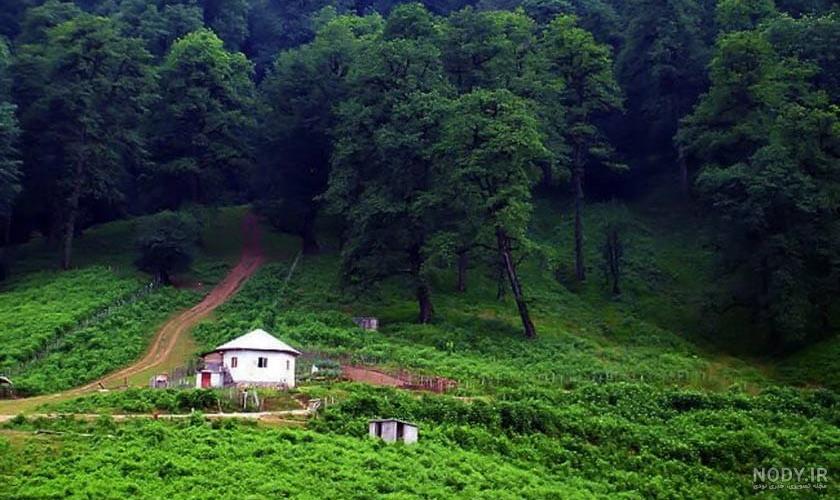 عکس توی دریای شمال عکس توی دریای شمال