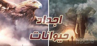 عکس) حیوان تنبل درختی (Bradypus) بررسی انواع و میزان خواب این حیوانات عکس) حیوان تنبل درختی (Bradypus) بررسی انواع و میزان خواب این حیوانات