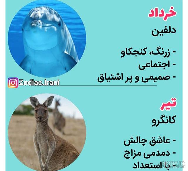 عکس حیوان ماه تولد عکس حیوان ماه تولد