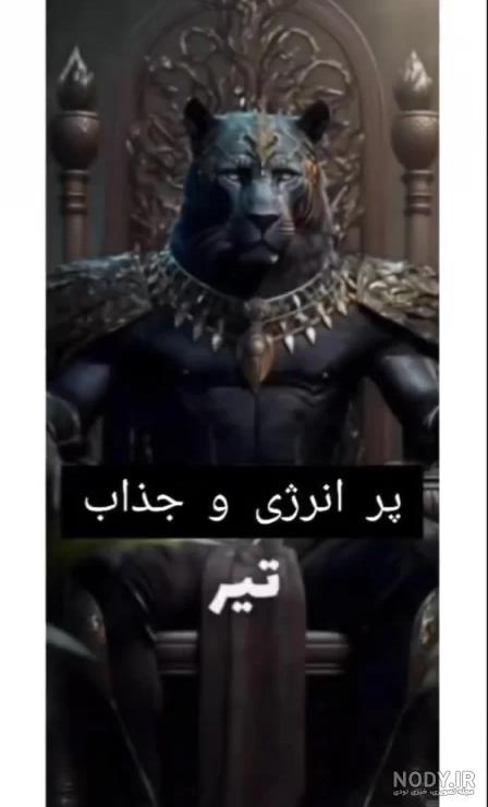 عکس حیوانات هر ماه عکس حیوانات هر ماه