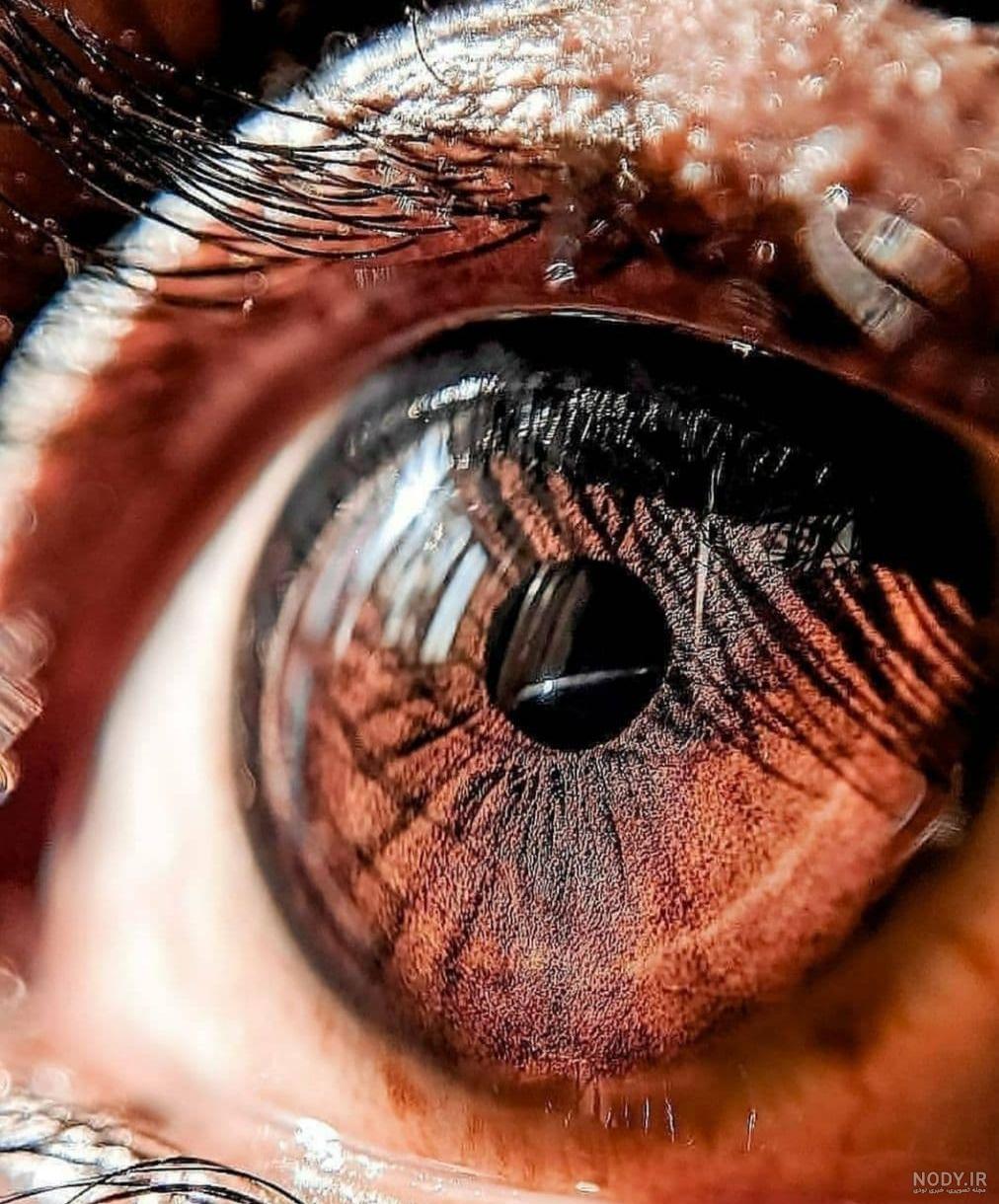 عکس مردمک چشم از نزدیک