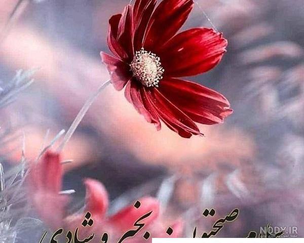 عکس نوشته سلام