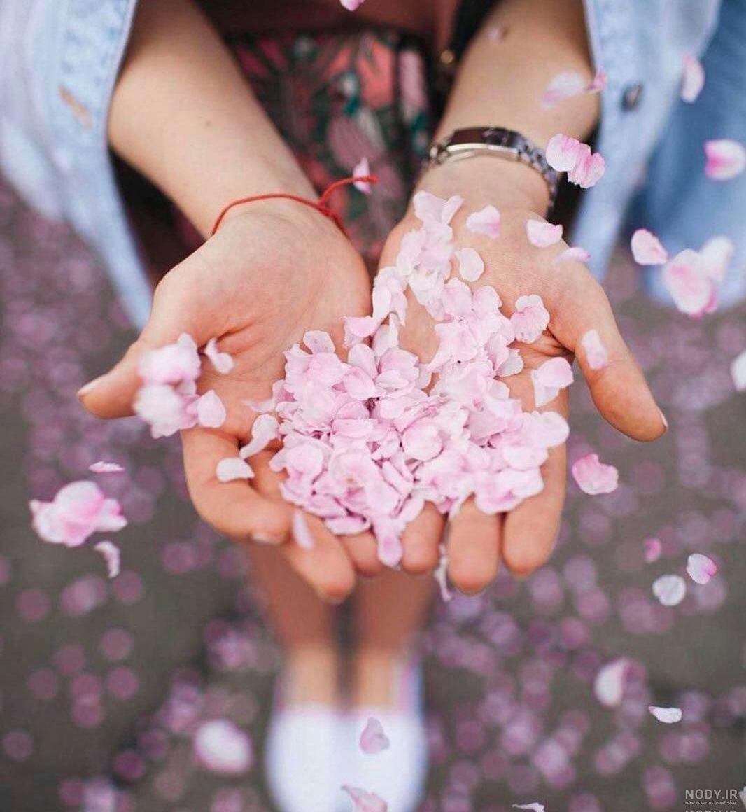 عکس پروفایل جدید امسال خفن