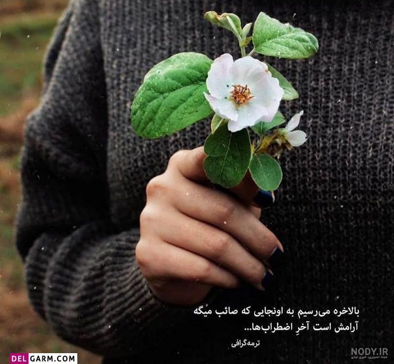 عکس پروفایل دلنشین و زیبا + متن های زیبا و دوست داشتنی