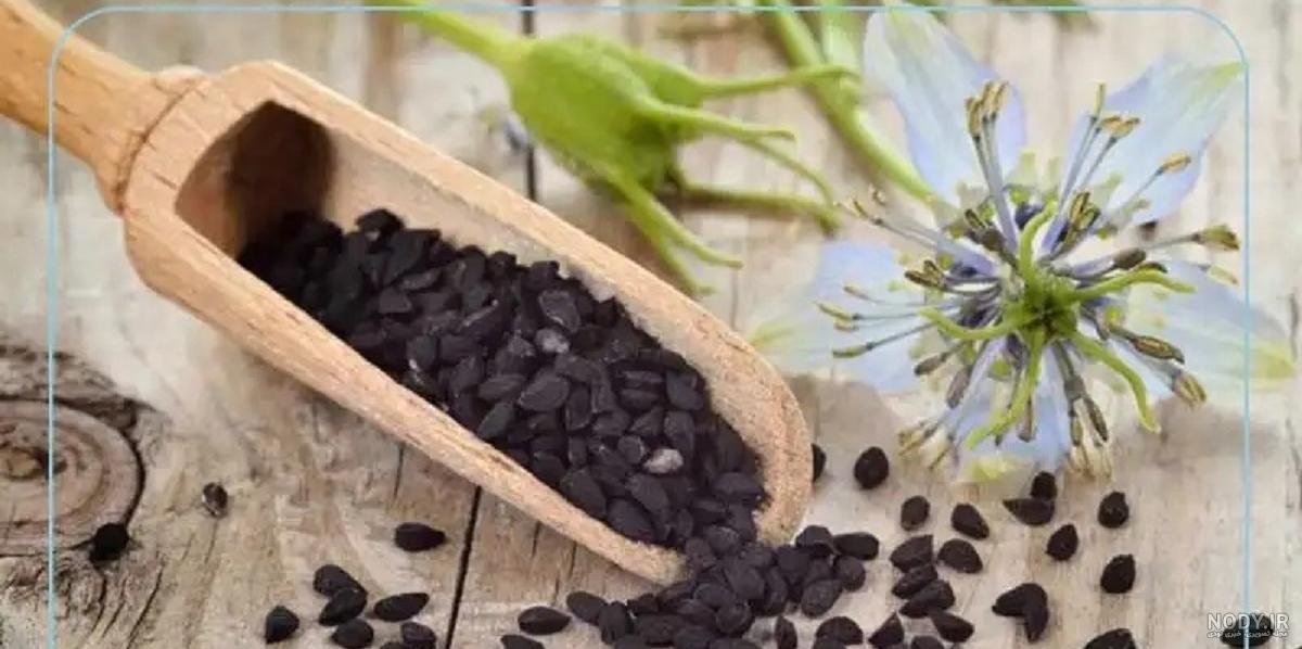 فواید و خواص سیاه دانه برای هزار و یک درد - مجله اسنپ مارکت