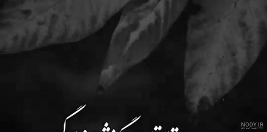 چه کنیم تا از ما سوء استفاده نشود • مجله تصویر زندگی