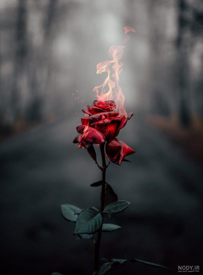 ۵۰ عکس پروفایل دخترونه جدید ۱۴۰۳ [اسپرت، جذاب، زیبا و لاکچری]