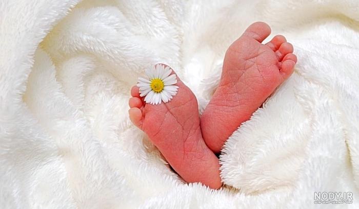 ایده عکاسی نوزاد؛ 25 ژست برای خانه و آتلیه ایده عکاسی نوزاد؛ 25 ژست برای خانه و آتلیه
