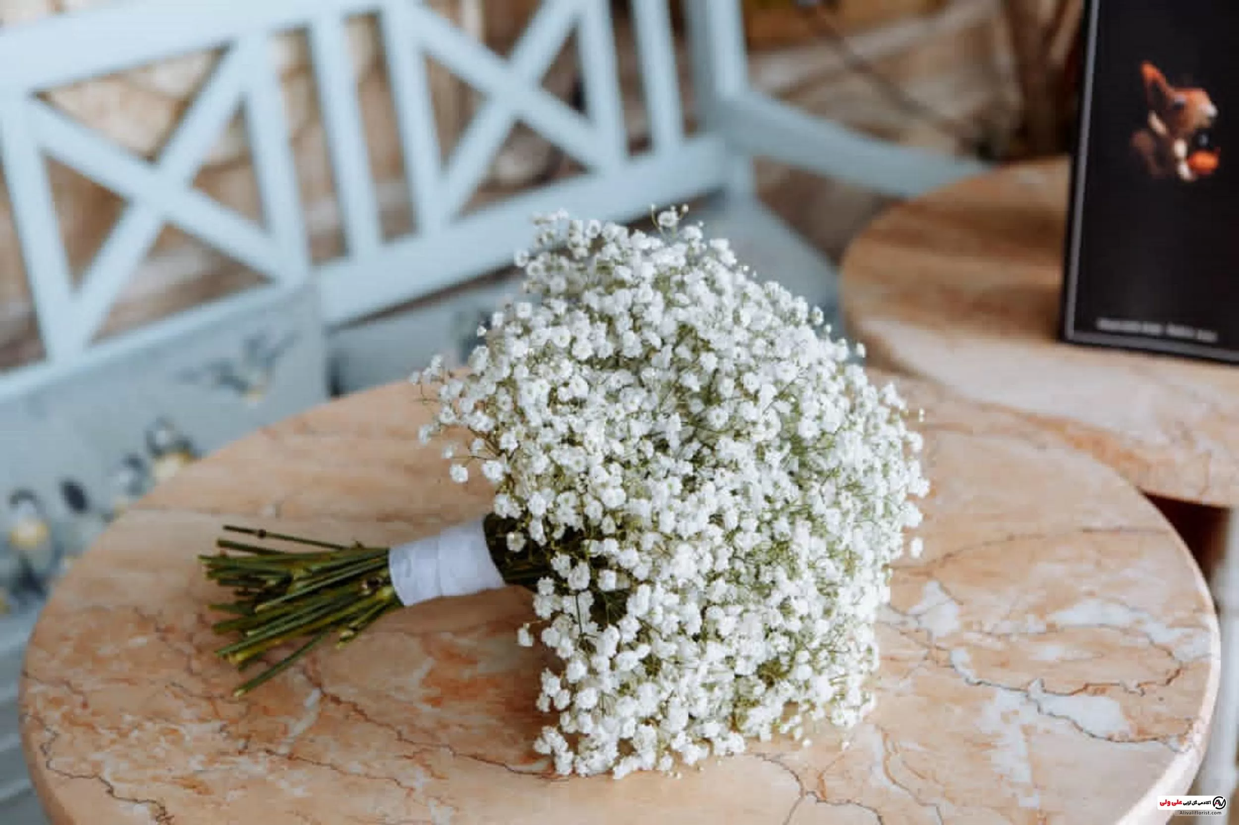 برای شرکت تو کلاس کرشی دایرکت بدین😍😍, #کریشی #کلاس_کریشی, #آموزش_کریشی_رایگان برای شرکت تو کلاس کرشی دایرکت بدین😍😍, #کریشی #کلاس_کریشی, #آموزش_کریشی_رایگان