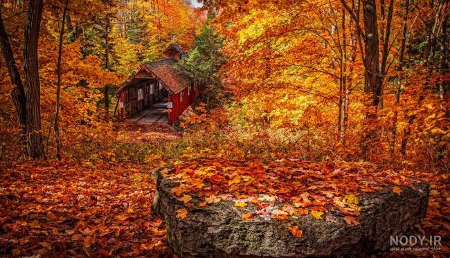 بی نظیرترین عکس های پاییزی 🍂 | لست‌سکند
