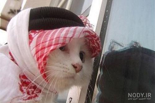 عکس های خنده دار و جالب