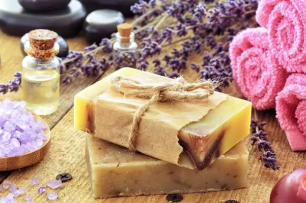 عکس) سوسک گوشتخوار؛ حتی دیدن تصویر این سوسک هم ترسناک است