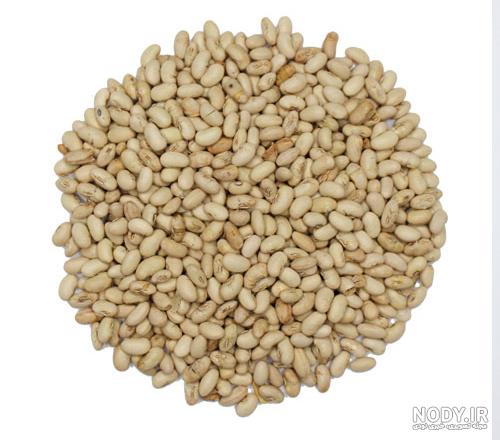عکس سویا آجیل