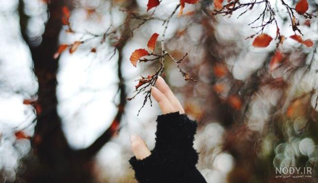 عکس پروفایل دخترانه پاییزی شیک - ژاویز