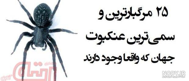 هشدار جدی درباره موز کشنده در بازار ایران!!! + عکس - فروشگاه خلاق شاپ هشدار جدی درباره موز کشنده در بازار ایران!!! + عکس - فروشگاه خلاق شاپ