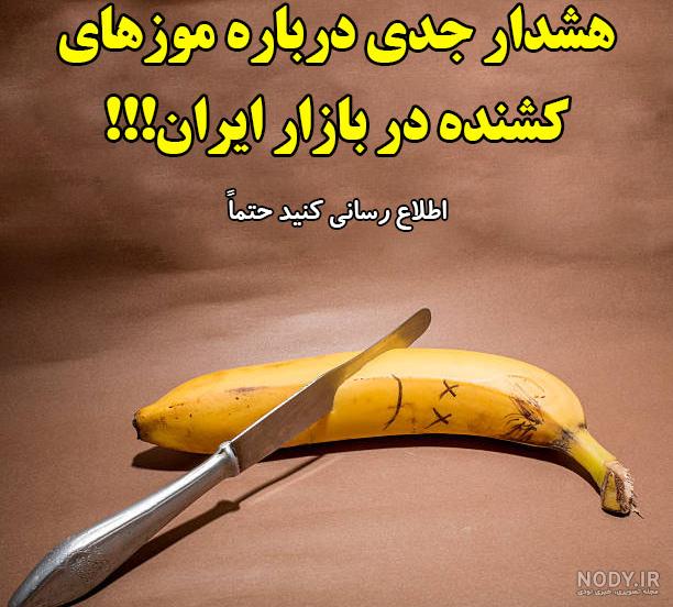 کشنده‌ترین عنکبوت دنیا کجا زندگی می‌کند؟ - عصر ترکیه
