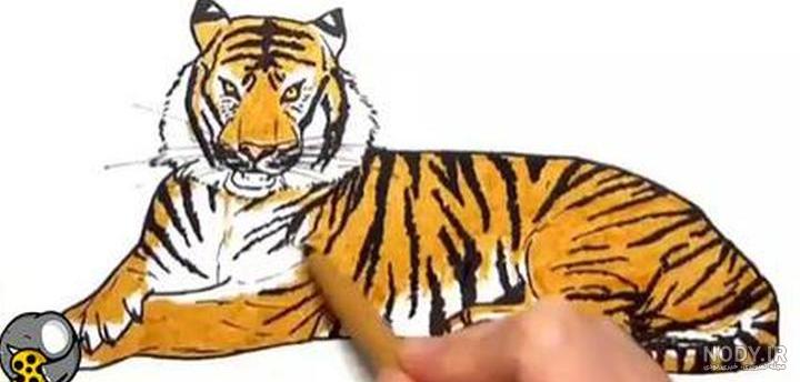 آموزش نقاشی ببر