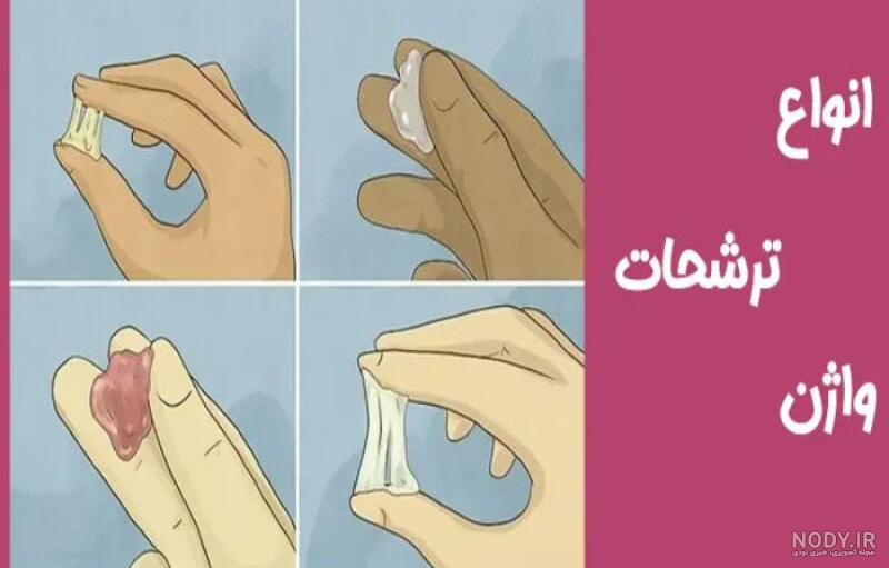 آیا می دانید مردها چند نوع آب دارند؟ آیا می دانید مردها چند نوع آب دارند؟