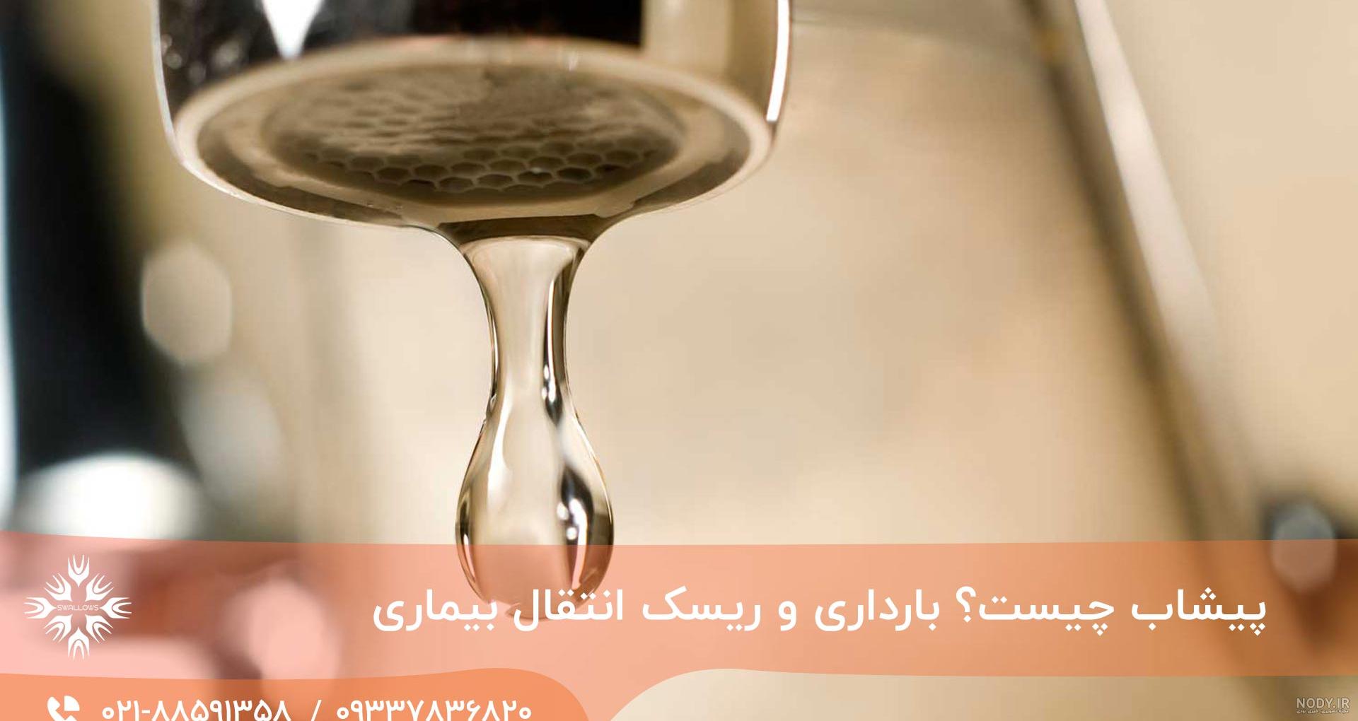ارضای جنسی یا ارگاسم، چطور زن و مرد را به بهترین شکل ارضا شوند؟ ارضای جنسی یا ارگاسم، چطور زن و مرد را به بهترین شکل ارضا شوند؟