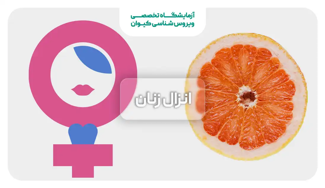 انواع ترشحات واژن انواع ترشحات واژن