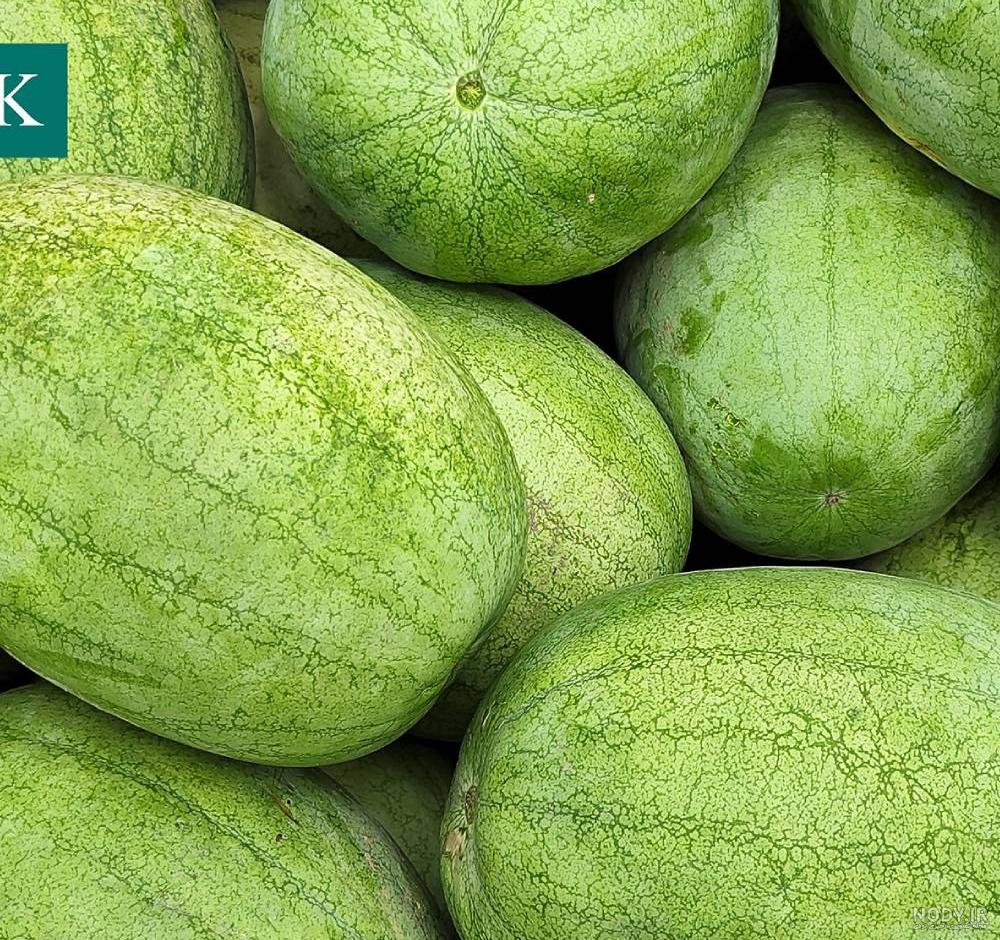 بذر هندوانه تخم جاپونی (جابانی) یا ژاپنی | فروشگاه بذر گلس گاردن بذر هندوانه تخم جاپونی (جابانی) یا ژاپنی | فروشگاه بذر گلس گاردن