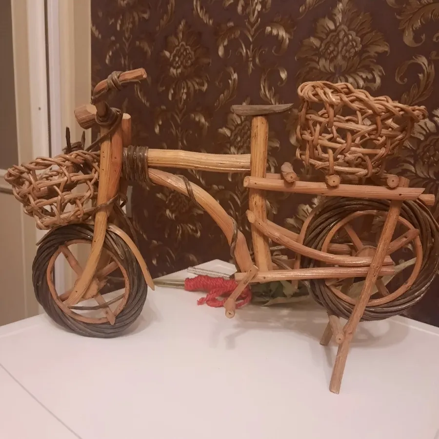 دوچرخه کوهستان پژو، جایگزینی مناسب برای وسایل نقلیه‌ دودزا + تصاویر