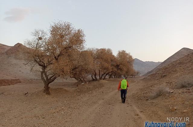 عکس روستای لپه زنک - عکس نودی عکس روستای لپه زنک - عکس نودی