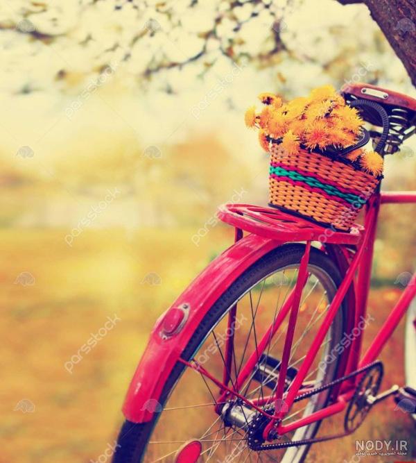 عکس زیباترین دوچرخه جهان