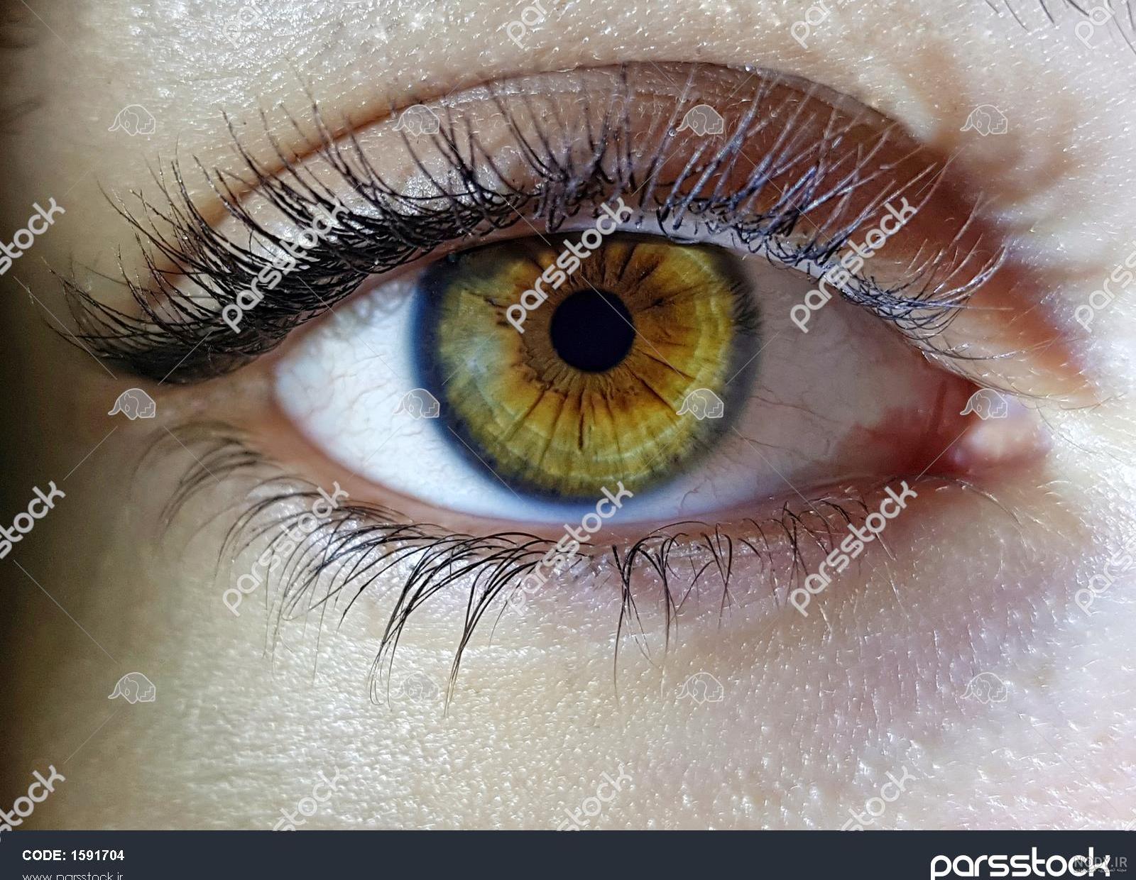 عکس چشم آنجلا از نزدیک عکس چشم آنجلا از نزدیک