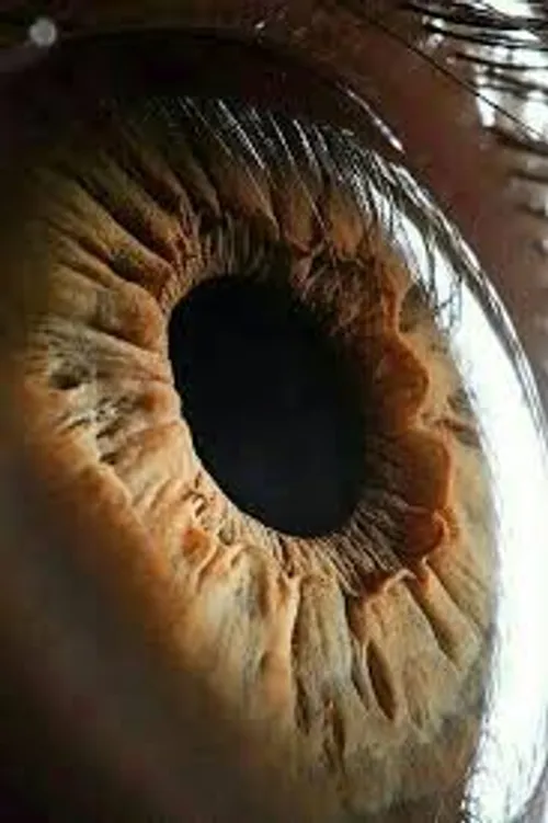 عکس چشم از نزدیک