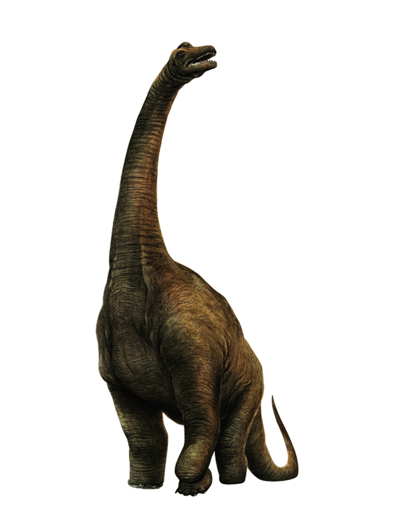 معرفی تمام دایناسورهای بازی Jurassic World Evolution 2 معرفی تمام دایناسورهای بازی Jurassic World Evolution 2