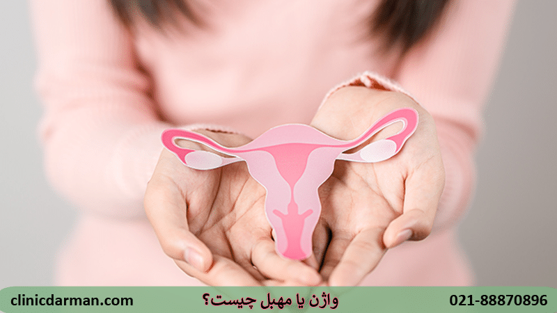 کمردرد بعد از رابطه جنسی؛ علت، بهترین روش پیشگیری و درمان کمردرد بعد از رابطه جنسی؛ علت، بهترین روش پیشگیری و درمان