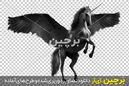 یونیکورن عکس اسب تک شاخ برای پروفایل یونیکورن عکس اسب تک شاخ برای پروفایل