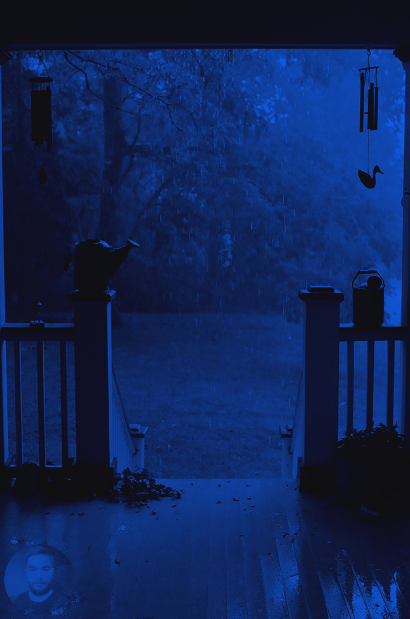 عکس خفن عکس پروفایل آبی شاخ