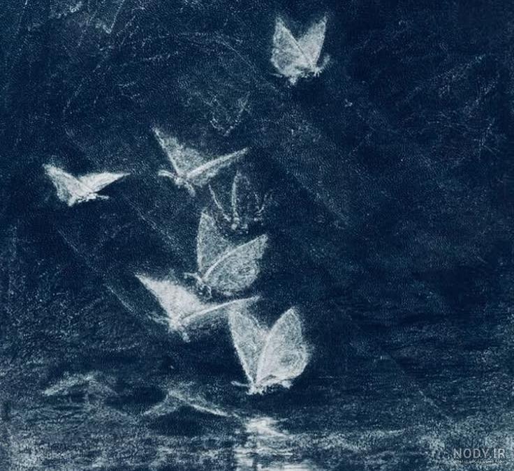 عکس خفن عکس پروفایل آبی شاخ